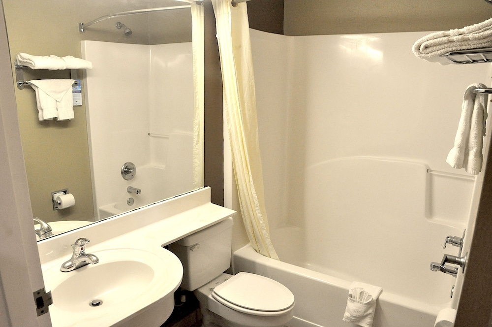 Microtel Inn & Suites by Wyndham Lithonia Stone Mountain - photo 23