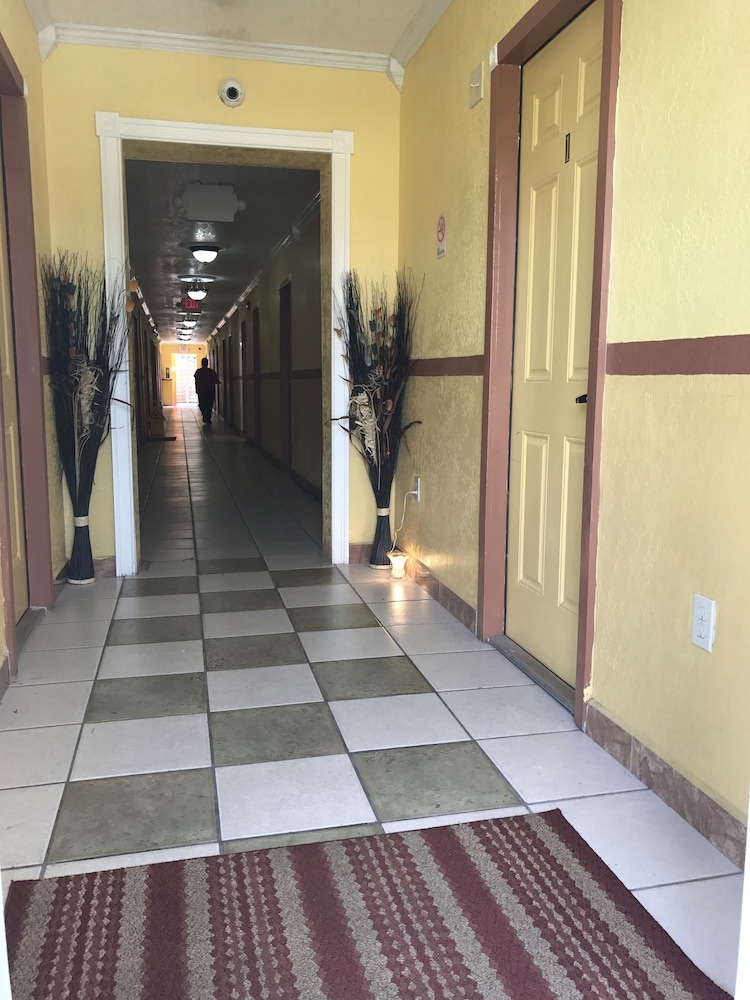 Dixie Hotel - photo 3