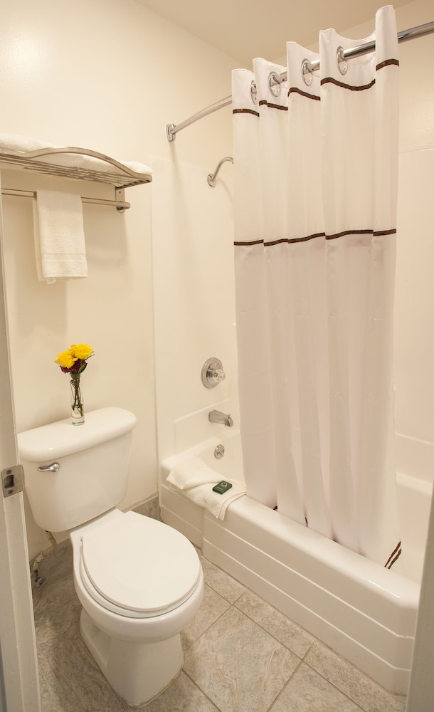 Hotel Focus Sfo - photo 15