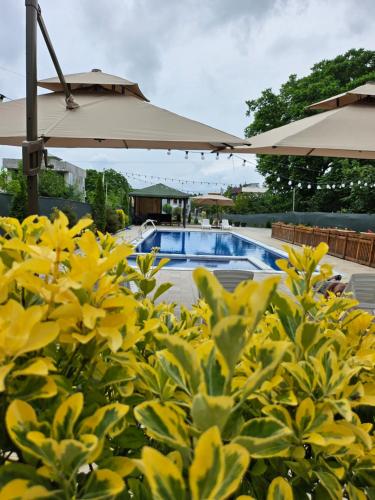 Green Terrace in Kobuleti, Georgia