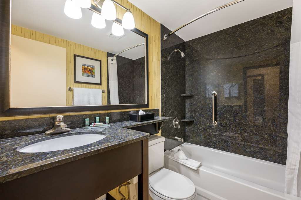 Best Western Chicago Downers Grove - photo 32