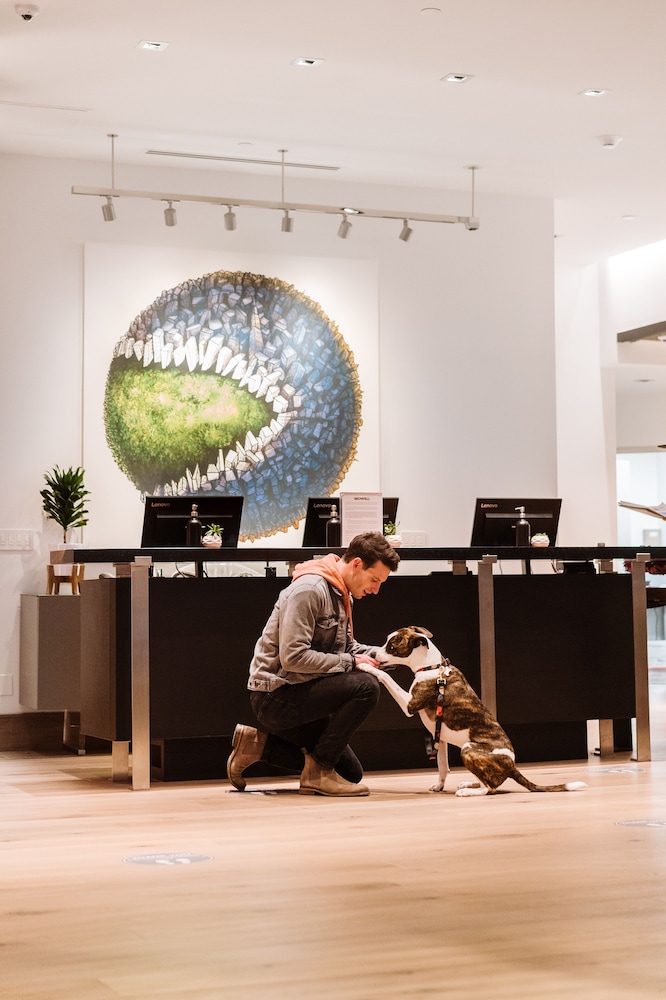 The Bidwell Marriott Portland - photo 4