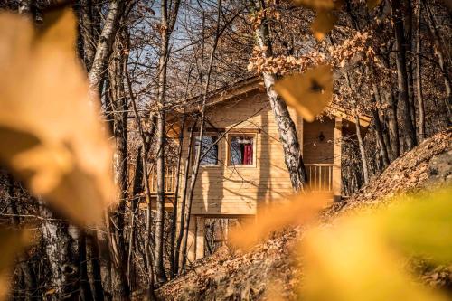 Il Nido del Casalot pet-friendly hotel Frassino