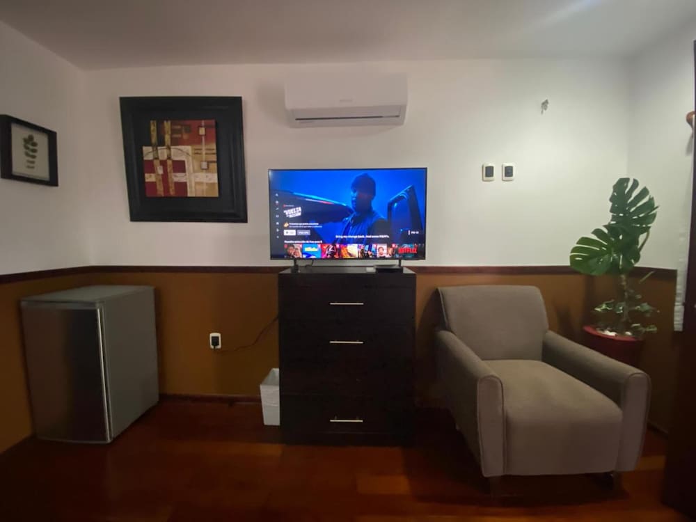 Television