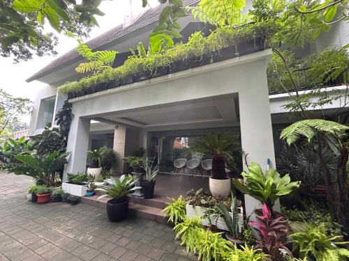 Annie Kuca - last minute hotel in Jakarta