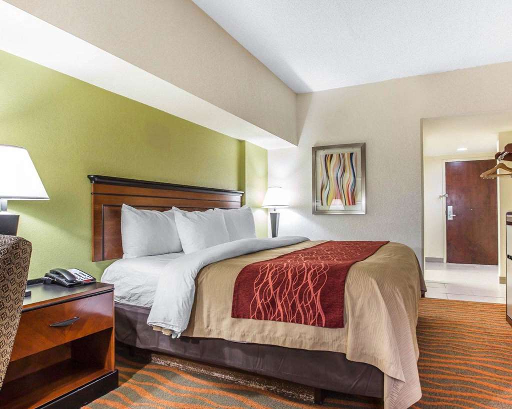 Comfort Inn Conyers - photo 15
