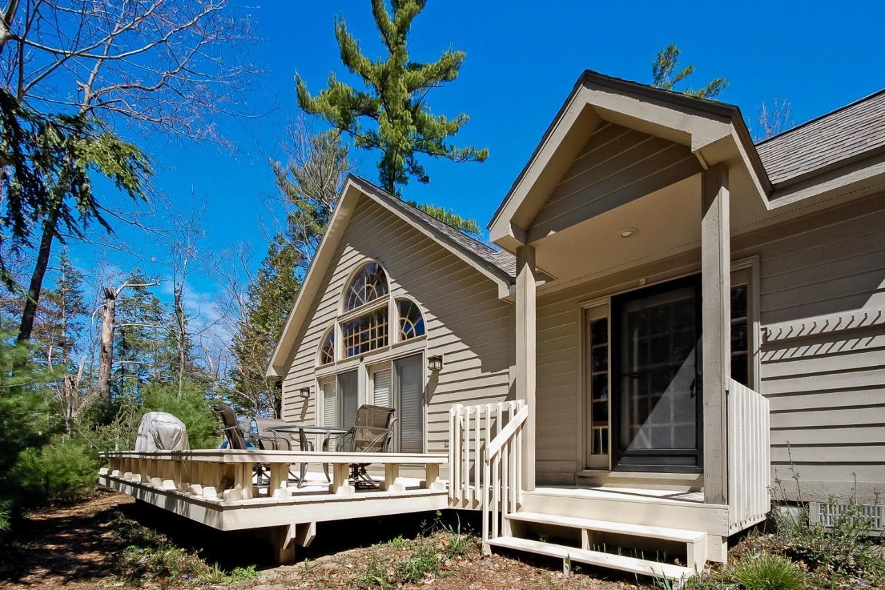 Creeping Snails in Traverse City, United States