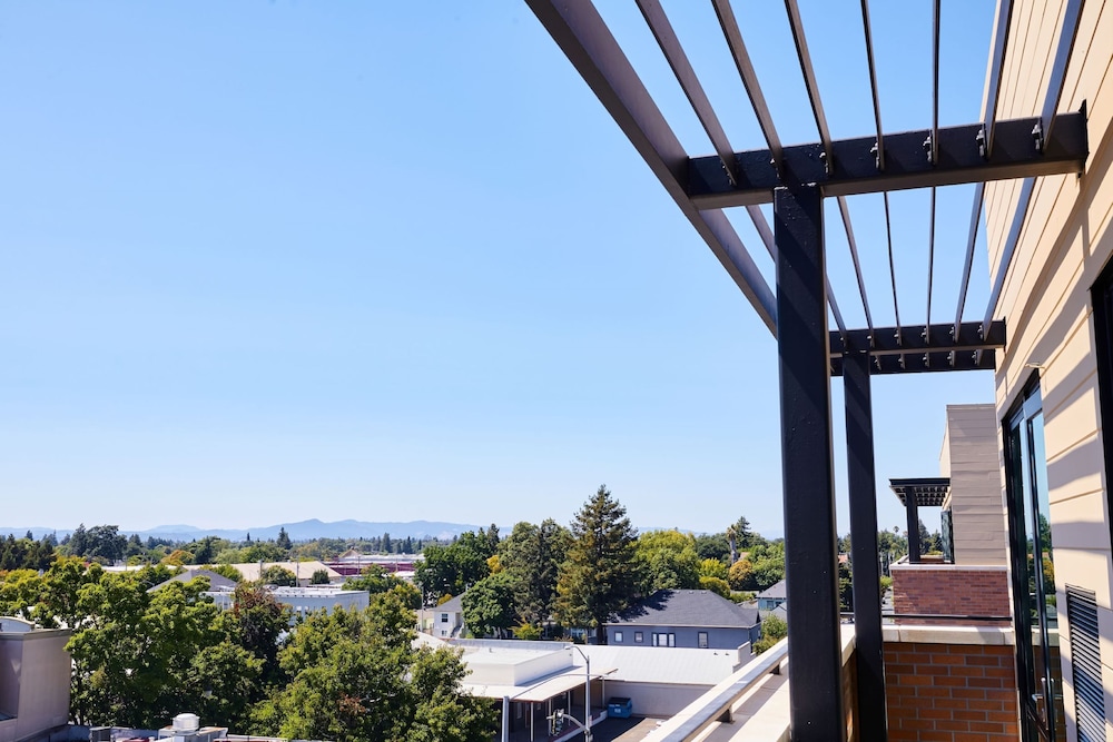 AC Hotel by Marriott Santa Rosa Sonoma Wine Country - photo 17