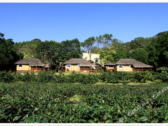 Tea Country in Yilan, People's Republic of China