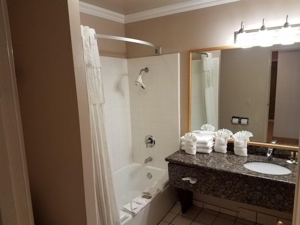 Olive Tree Inn & Suites by Howard Johnson WYNDHAM - photo 22