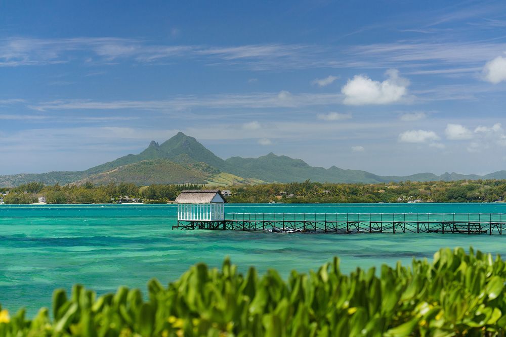 Tropical Attitude in Pamplemousses, Mauritius