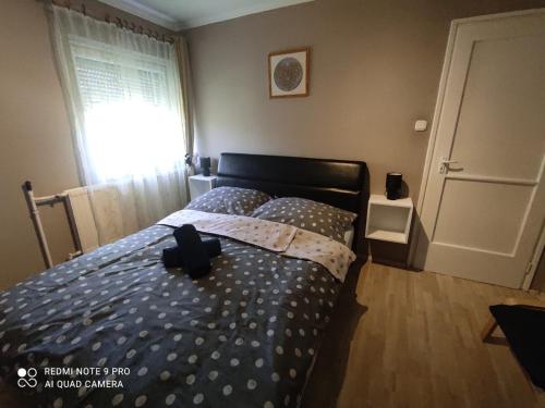 Felhő Apartman — Balatonfured — photo 4