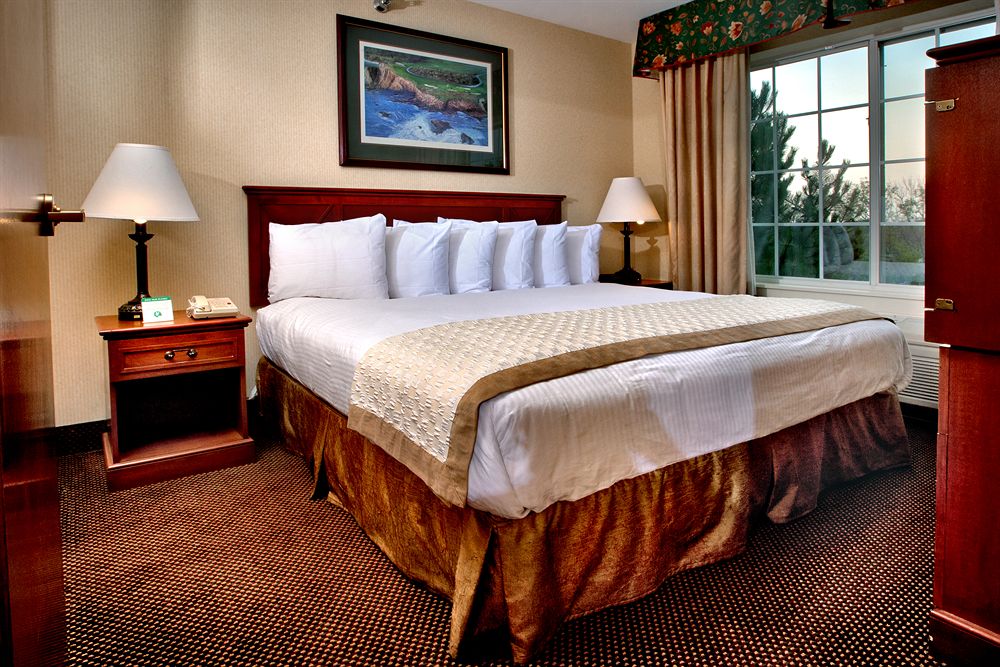 The Lotus Suites at Midlane - photo 11