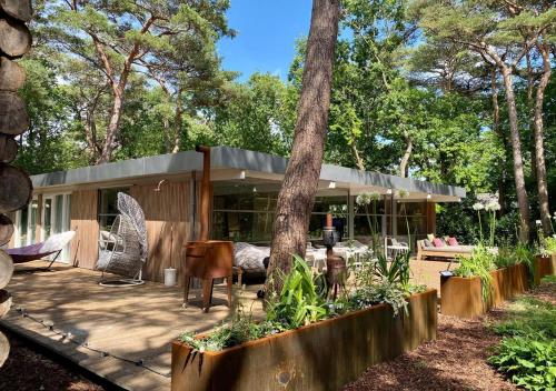 Magical Woods in Bergen, Netherlands