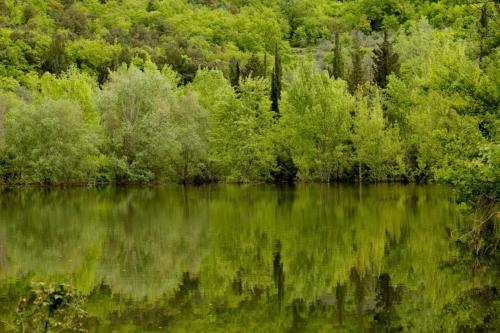 Le Tre Colombe — Bagno A Ripoli — photo 2