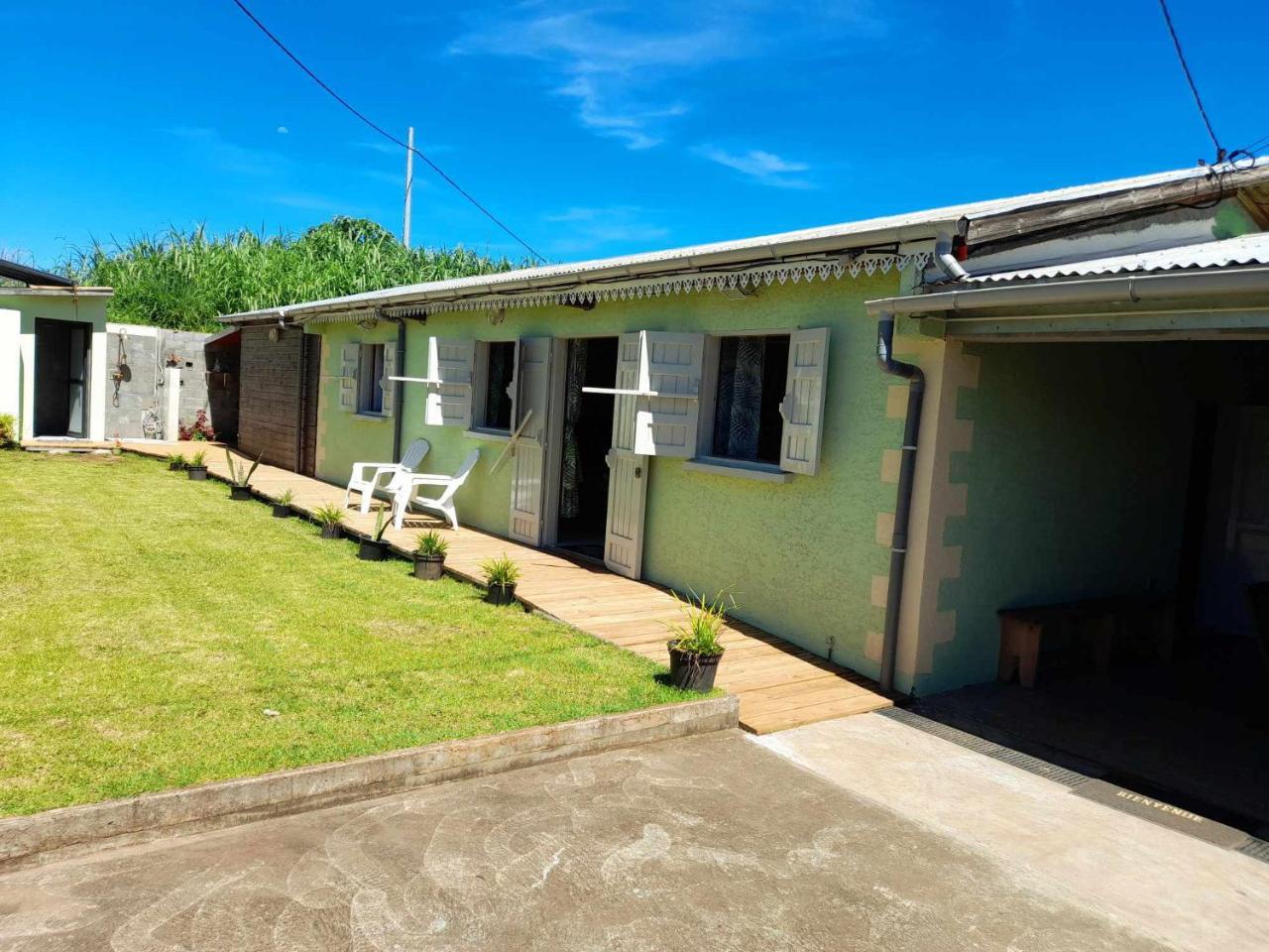 Le muguet sauvage in Le Tampon, Réunion