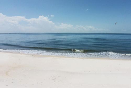 Ocean Melody in Dauphin Island, United States