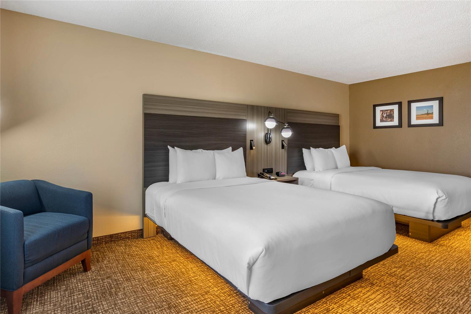 Comfort Inn & Suites North Dallas Addison - photo 6