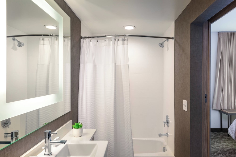 SpringHill Suites by Marriott Chattanooga South Ringgold GA - photo 14