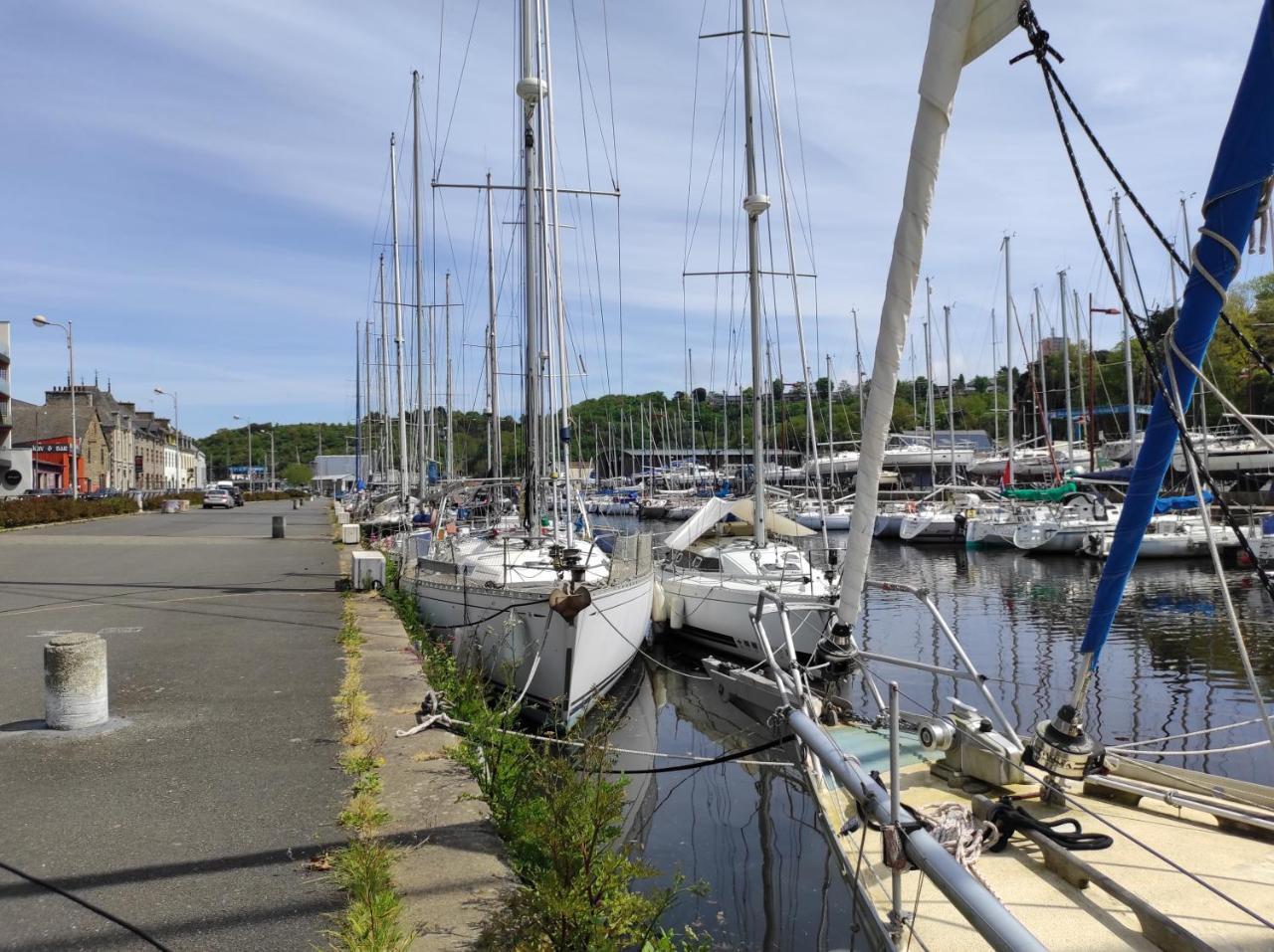 Aux Trois Palmiers — Saint-Brieuc — photo 3
