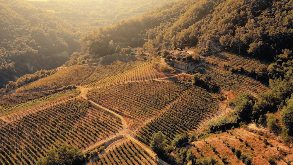 Cascina Bertolotto Wine Resort. — 4-Star Luxury Hotel in Spigno Monferrato, Italy