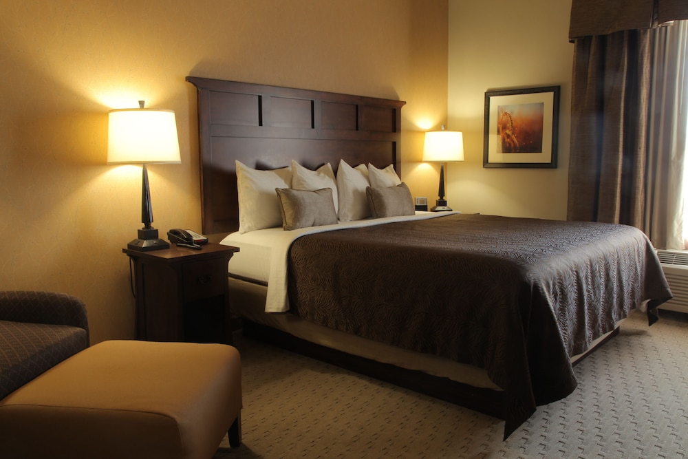 Teddy's Residential Suites Watford City - photo 9