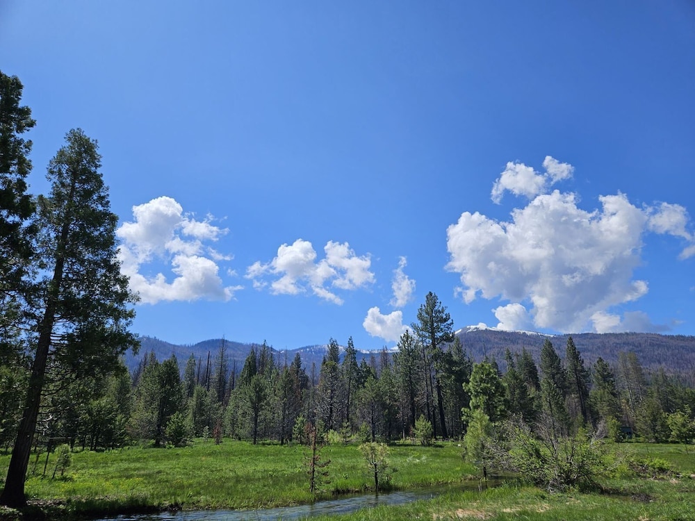 The Black Forest Lodge - photo 24