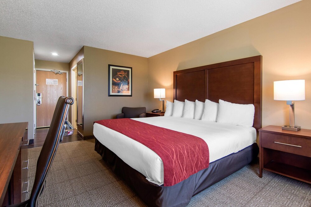 City Express by Marriott Milford Cooperstown - photo 16