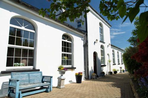 The Classroom Patricks Square Wexford Town in Loch Garman, Republic of Ireland