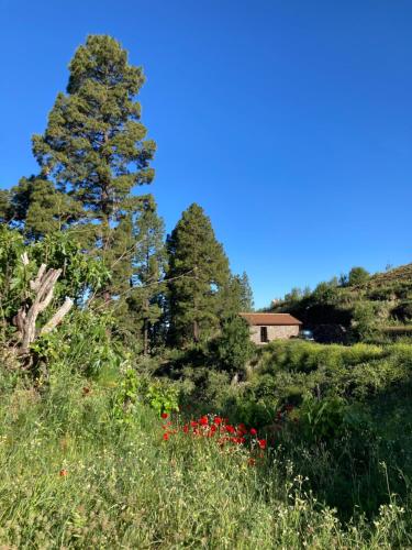 Bodega Linda — hotel in Puntagorda