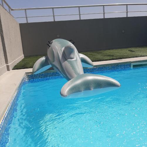 Bel Appart Terasse Vue Panoramique Avec Piscine — Ariana — photo 4