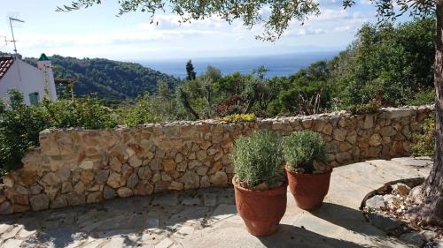 Olive Tree House — 4-Star Luxury Hotel in None, Greece