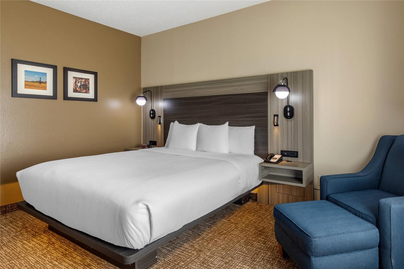 Comfort Inn & Suites North Dallas Addison - photo 18