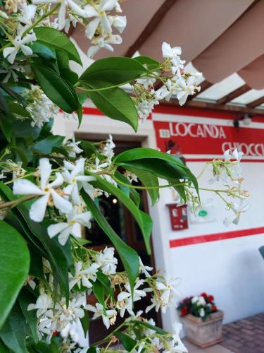 Locanda Chiocciola — Quero