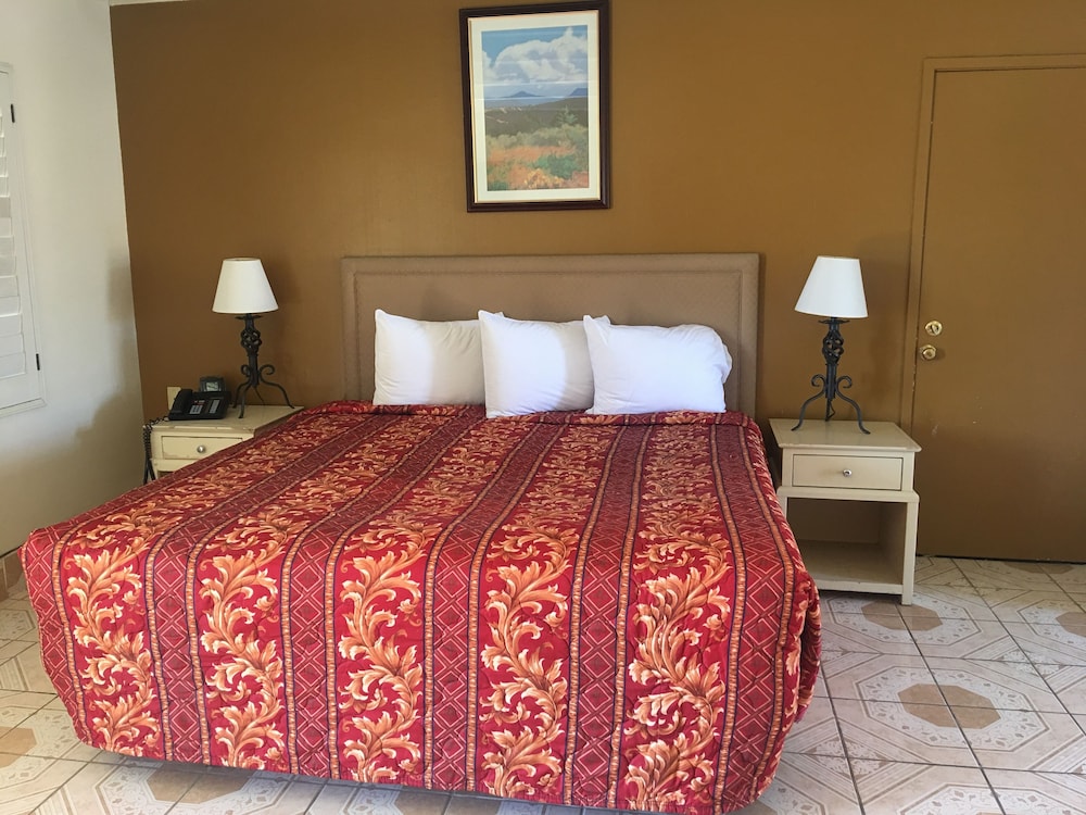 Palm Shadow Inn - photo 5
