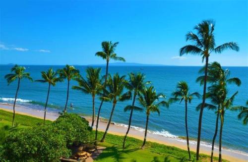 Kealia Resort 403 in Kihei, United States