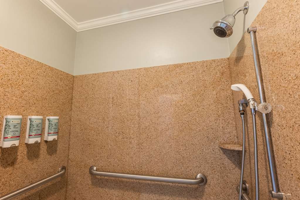 Best Western White House Inn - photo 92