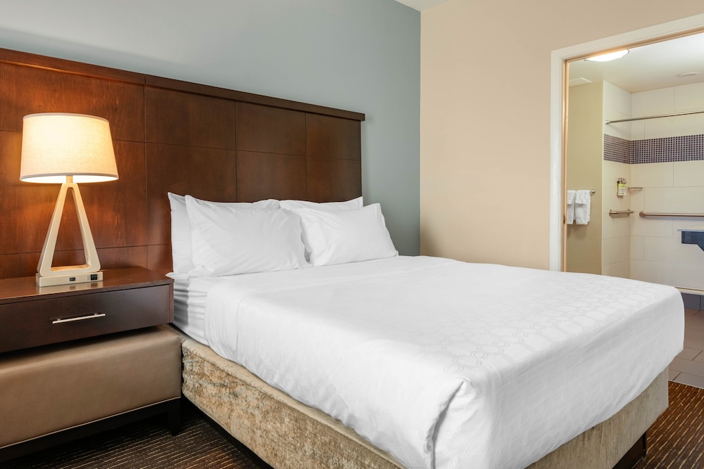Staybridge Suites St. Petersburg Downtown by IHG - photo 15