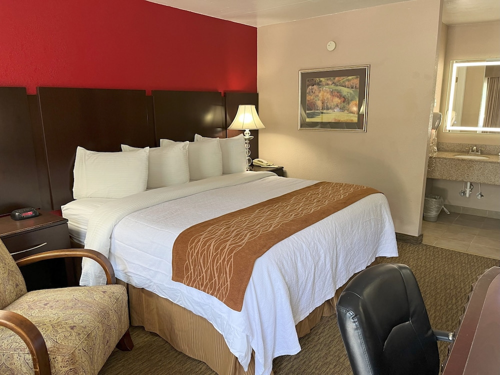 Pine Tree Inn - photo 14