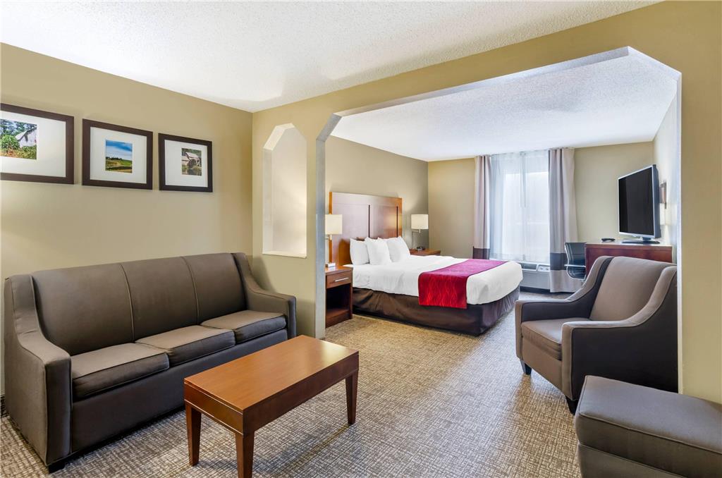 Comfort Inn & Suites Christiansburg I 81 - photo 20