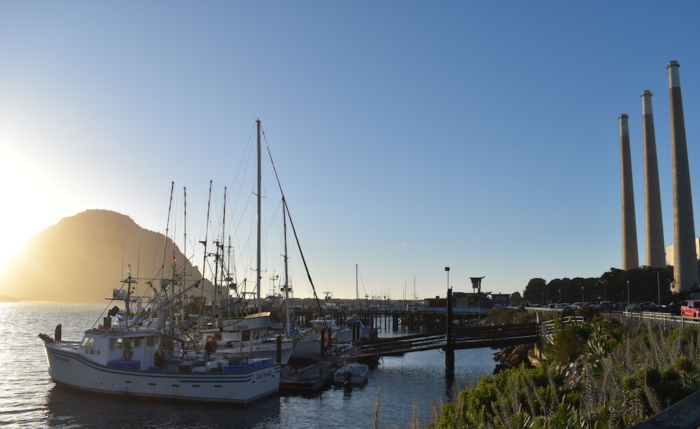 Rockview Inn and Suites - photo 25