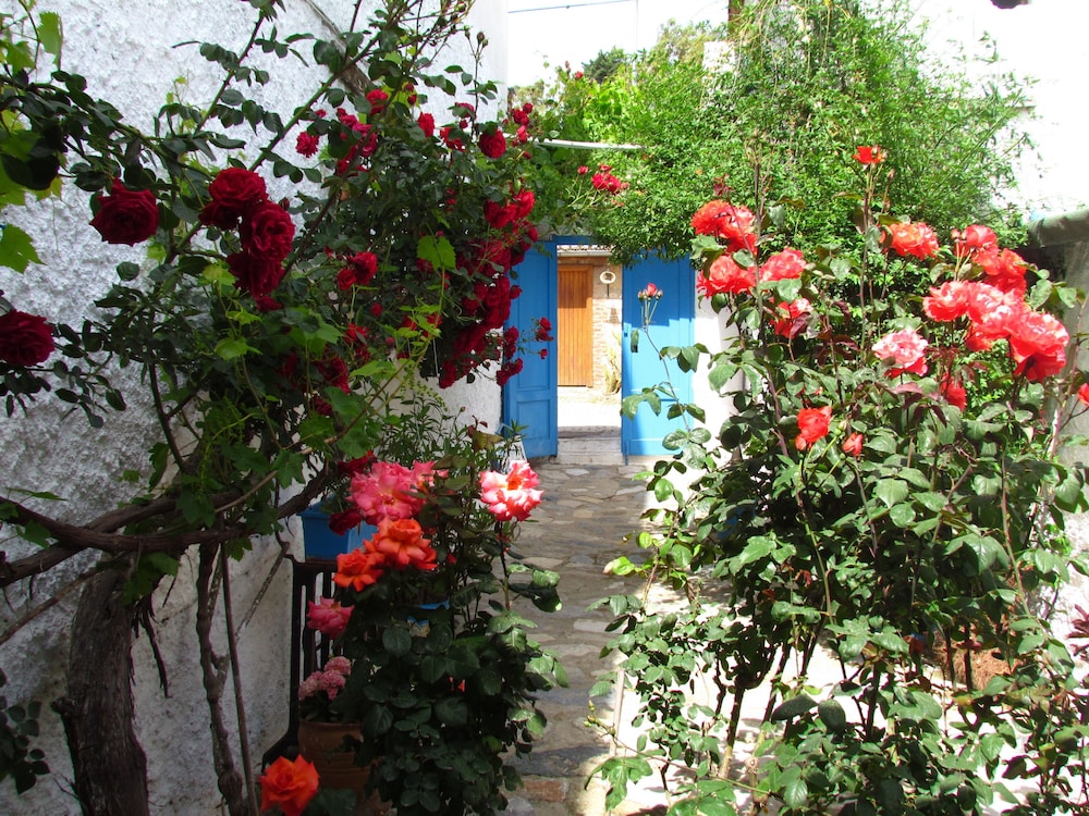 Amazon Antique — Selcuk — photo 2