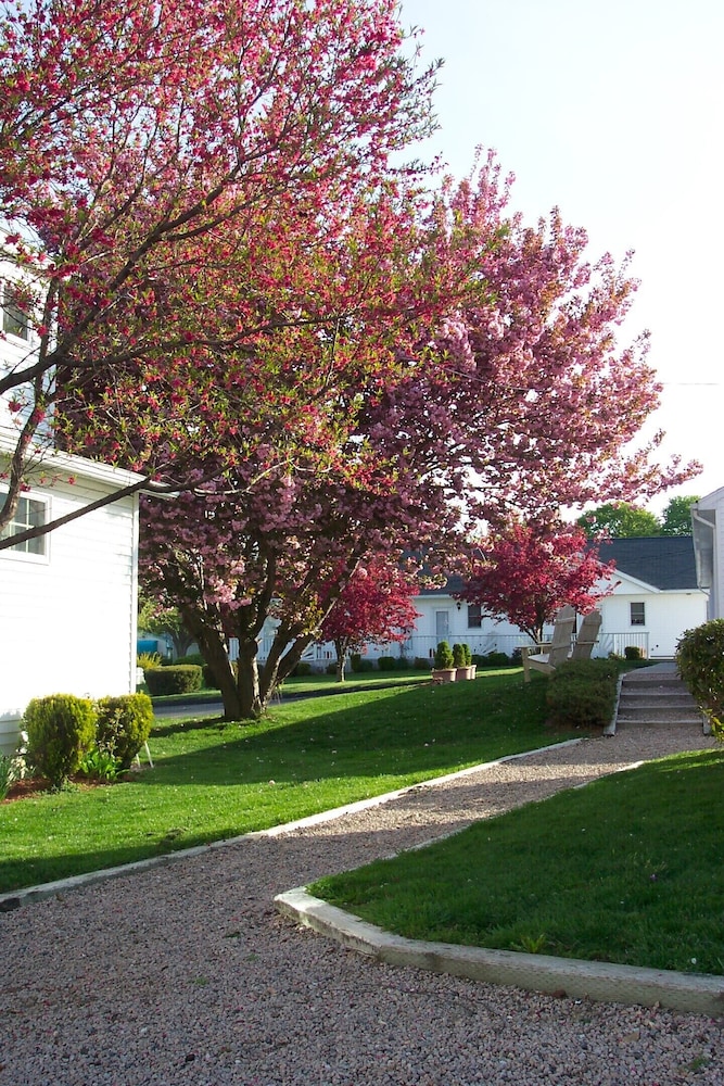 The Taber Inne & Suites - photo 36