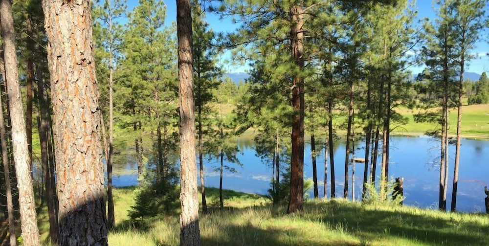 Wilderness Club - photo 106