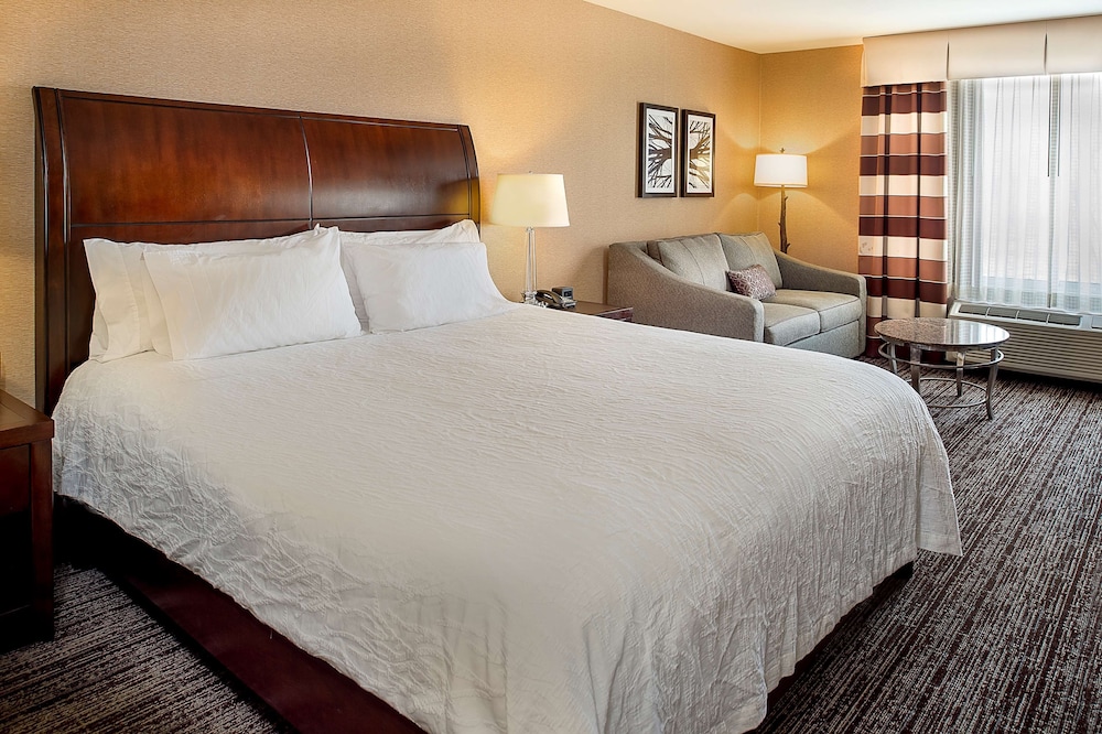 Hilton Garden Inn St. Louis Airport - photo 27