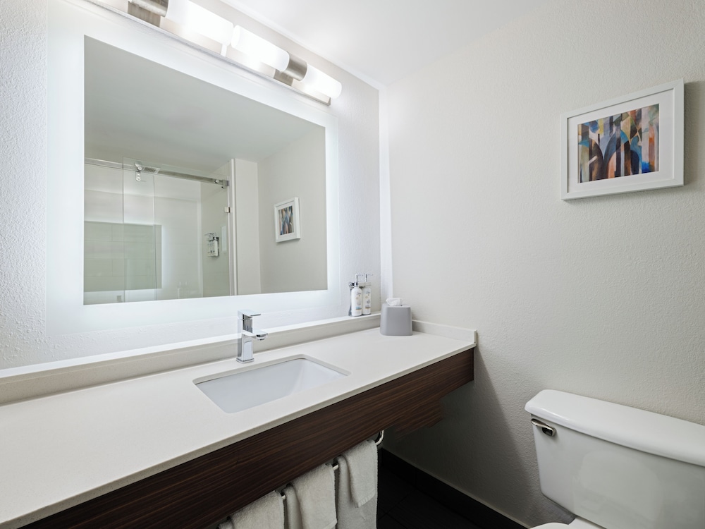 Holiday Inn Express & Suites Augusta West Fort Gordon by IHG - photo 59