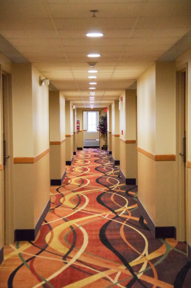 Dutch Inn and Suites - photo 24