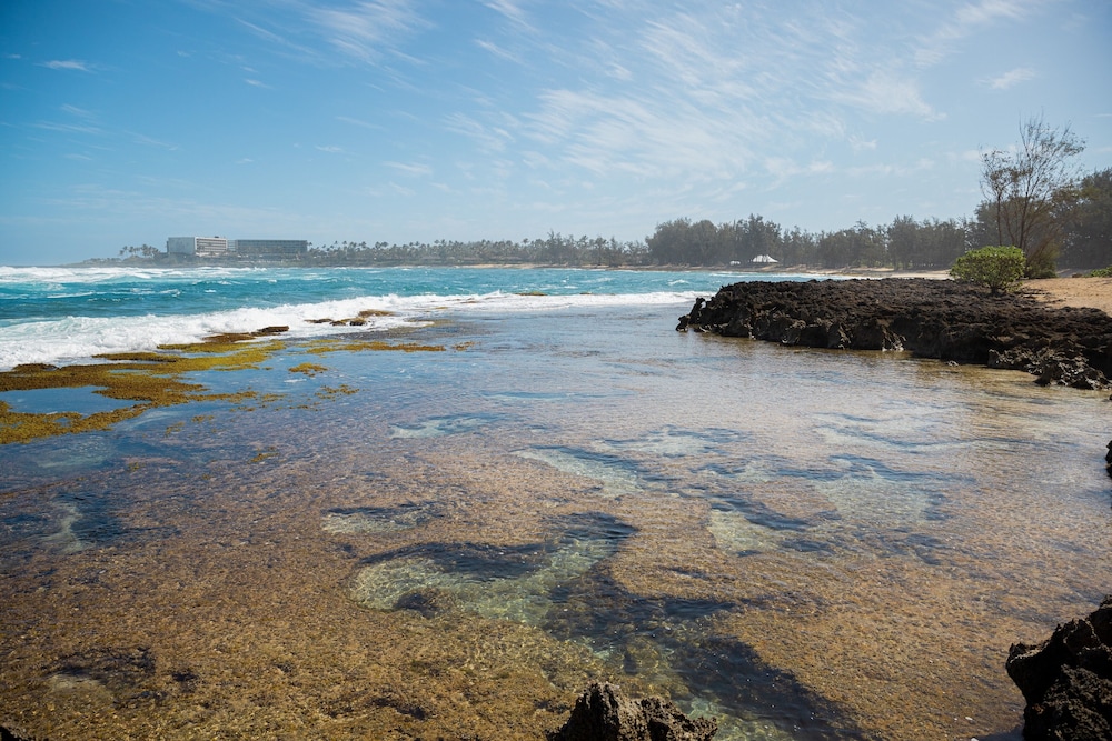 The Ritz Carlton O ahu Turtle Bay - photo 182