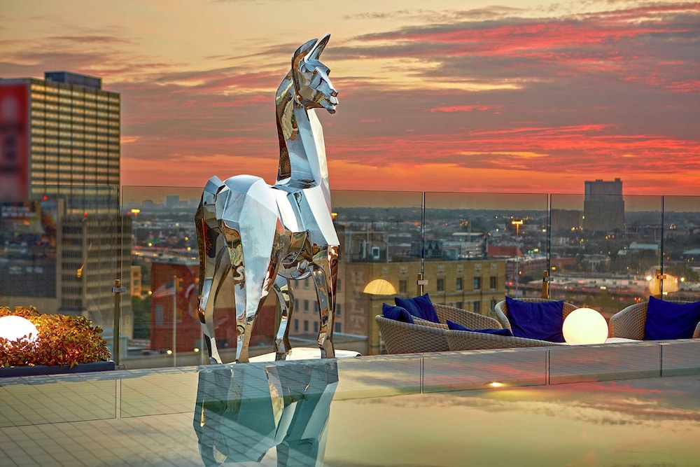 The Statler Dallas Curio Collection By Hilton - photo 117