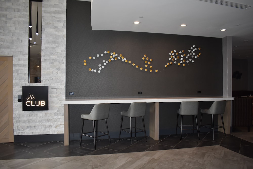 Chicago Marriott Oak Brook - photo 6